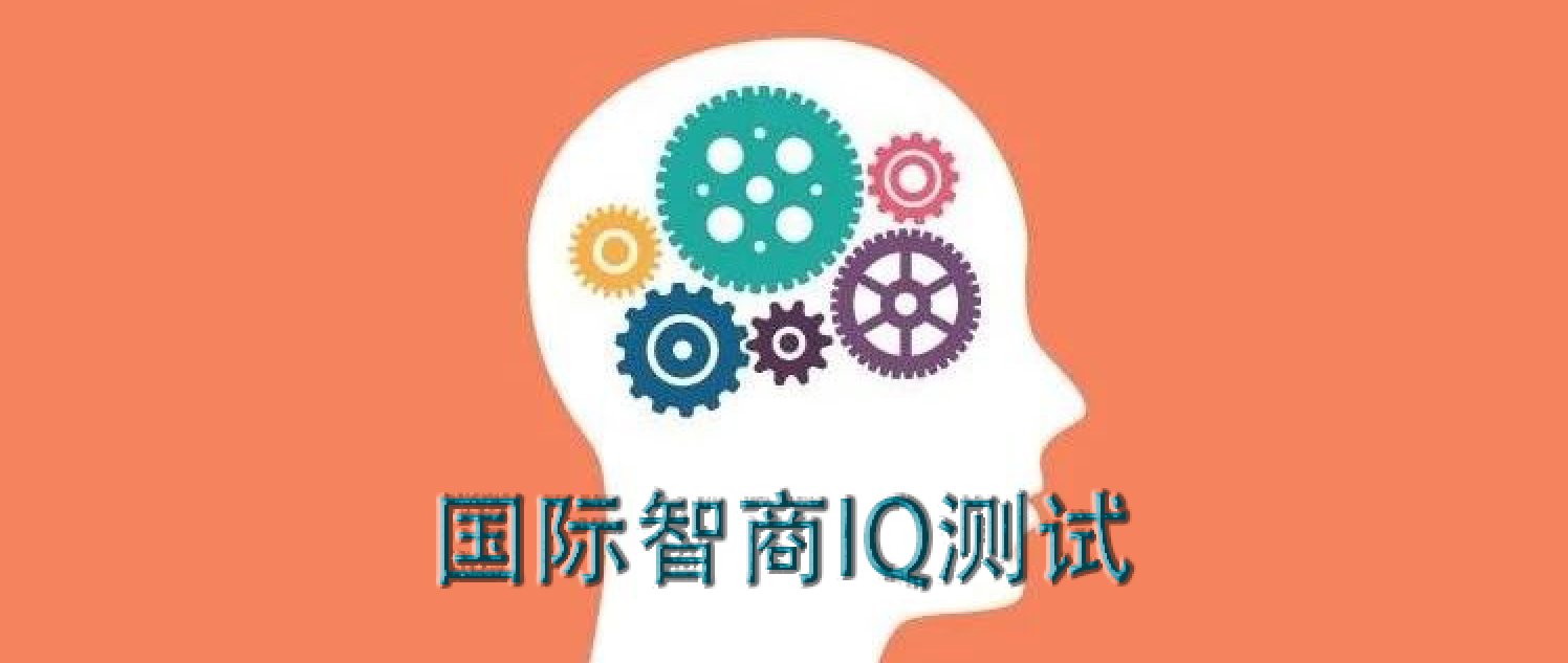 国际智商IQ测试
